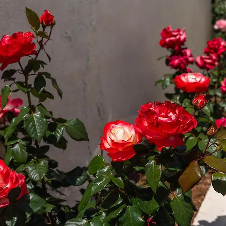 Penzion Marica Dubrovník