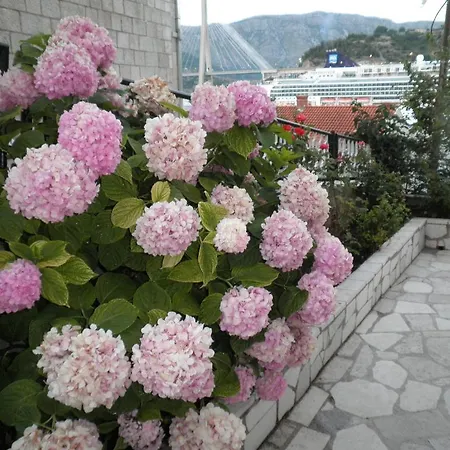 ゲストハウス Marica ドゥブロブニク