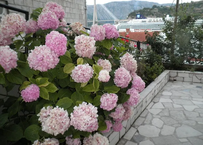 Maison d'hôtes Marica Dubrovnik